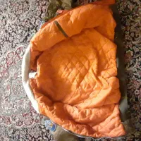 کافشن خلبانی|لباس|بروجرد, |دیوار