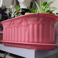 گلدان بزرگ ‌ با سه عدد گل آپارتمانی