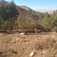 باغ ویلا تاف|فروش خانه و ویلا|مشهد, خرم آباد|دیوار