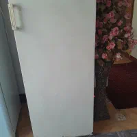 یخچال ده فوت ،آزمایش،صحیح وسالم