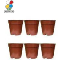 گلدان ۶ و ۸ لاکی
