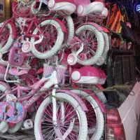 دوچرخه پشتی دار ۲۰          «فروشگاه خانه دوچرخه»|دوچرخه، اسکیت، اسکوتر|زرند, |دیوار