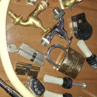 شیر آبی،برنجی نو