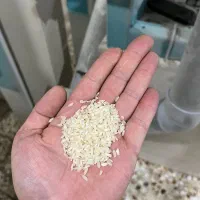 برنج‌ کامفیروزی از کشاورز