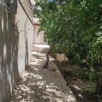 فروش منزل کلنگی در مرکز باغ بهادران
