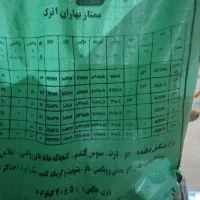 کنسانتره