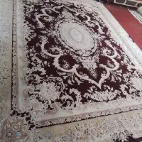 قالی ۱۲ متری گل برجسته نخ ضخیم|فرش|شیراز, تاچارا|دیوار