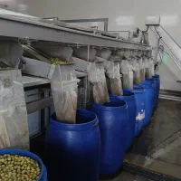 نیروی کار در شرکت زیتون