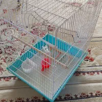 قفس پرنده|لوازم جانبی حیوانات|مشکیندشت, |دیوار