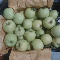 سیب درجه یک تازه