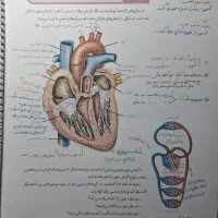کتاب درسی زیست دهم یازدهم دوازدهم با نکات تکمیلی|لوازم التحریر|کازرون, |دیوار