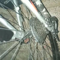 دوچرخه سالن نو|دوچرخه، اسکیت، اسکوتر|کوهدشت, |دیوار