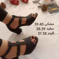 تخفیف تابستانه روی تمام تابستانی ها
