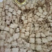 پرده والان زیبا|پرده، رانر، رومیزی|چهاردانگه (تهران), |دیوار