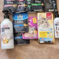 تشویقی گربه