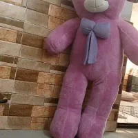 خرس بزرگ|اسباب‌بازی بچه|تربت جام, معدآباد|دیوار