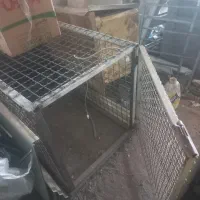 قفس