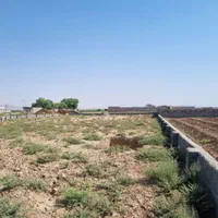 زمین جهت باغ و باغچه و گلخانه