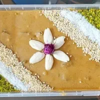 رنگینک خرما جنوبی