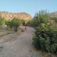 فروش باغ در میشخاص