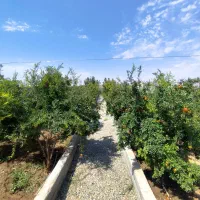 اجاره روزانه باغ ویلا
