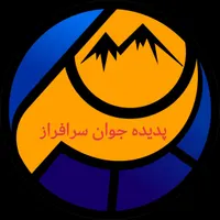 اکسل کار حرفه ای
