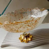 میوه خوری رزینی