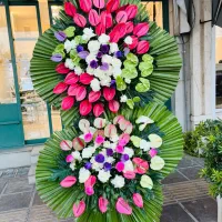 تاج افتتاحیه|گل و گیاه طبیعی|یزد, |دیوار