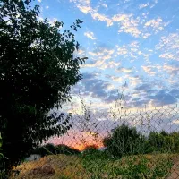 کوهنوردی مخصوص بانوان