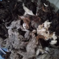 پشم گوسفندی