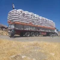 کاه پر میکنم وبار میکنم خاش
