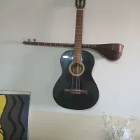 گیتار و تار