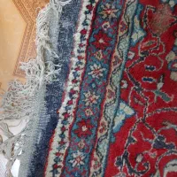 فروش فرش دستی|فرش|رشت, بلوار گیلان|دیوار