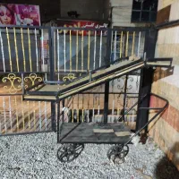 چهار چرخ میوه فروشی