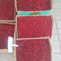 زرشک اعلا