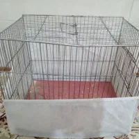 قفس پرنده|لوازم جانبی حیوانات|خرامه, |دیوار