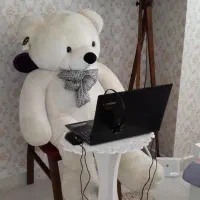 خرس بزرگ خارجی جنس خوب