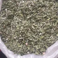 فروش تره کوهی