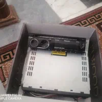 ظبط