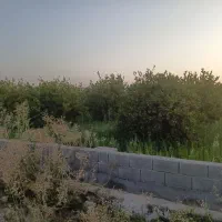 باغچه