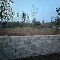 زمین