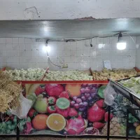 وسایل و تجهیزات میوه فروشی|فروشگاه و مغازه|فیروزآباد (فارس), |دیوار