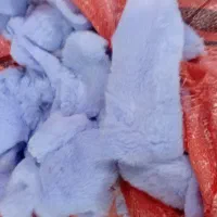 بهترین خریدارضایعات