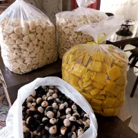 کشک و قرقوروت و الوچه و معجون صبحانه