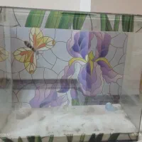 اکواریوم 60*55*30 شیشه خم|ماهی|فردیس, فردیس|دیوار