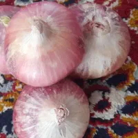 پیاز تفت