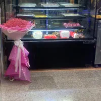 یخچال مغازه