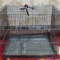 قفس پرنده|لوازم جانبی حیوانات|ایلام, |دیوار