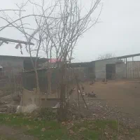 دامداری-زمین-فروشی