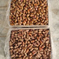 خرما فروشی و خریدار خرما|خوردنی و آشامیدنی|سراوان, |دیوار